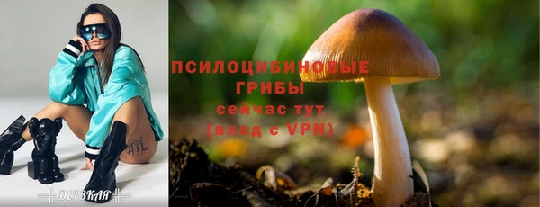 альфа пвп Надым