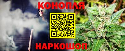 прущая мука Гатчина