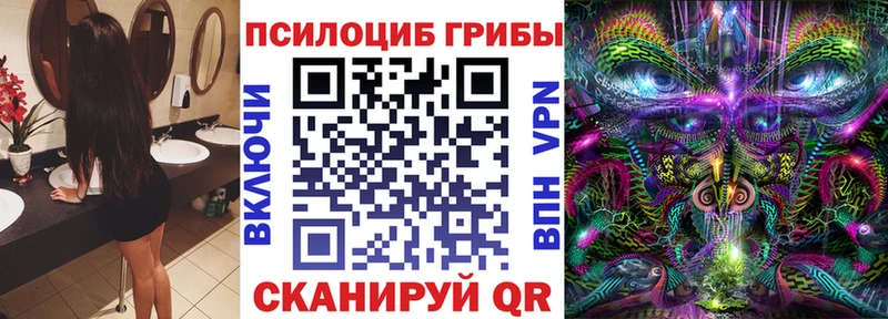 Псилоцибиновые грибы прущие грибы как найти Кизляр