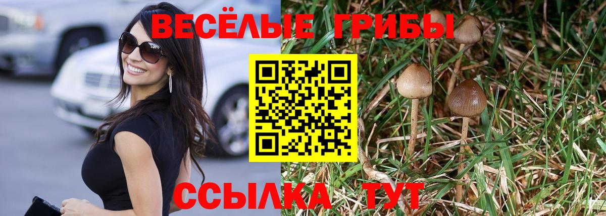 Галлюциногенные грибы мицелий Кизляр