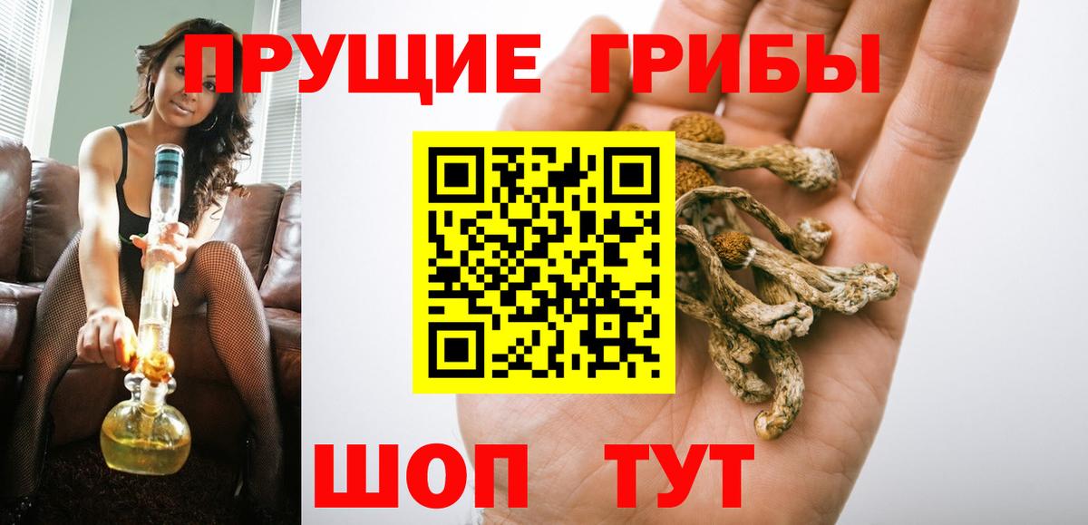 Кизляр  Галлюциногенные грибы GOLDEN TEACHER  хочу   Вход с VPN 