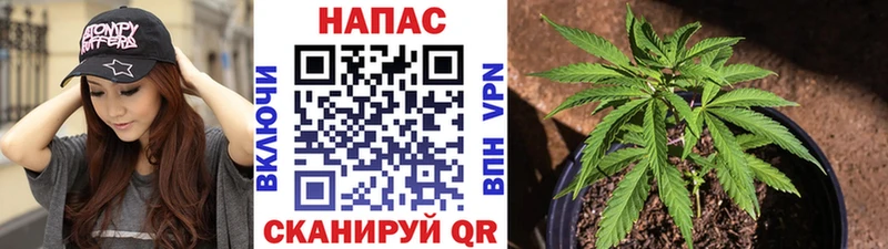 Шишки марихуана Amnesia  Кизляр 