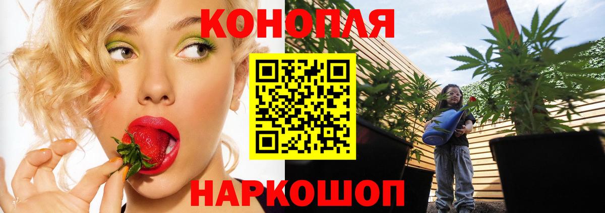 МАРИХУАНА ГИДРОПОН Кизляр